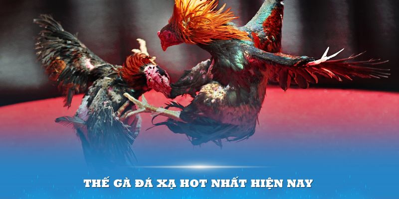 Giới thiệu về thế gà đá xạ hot nhất hiện nay